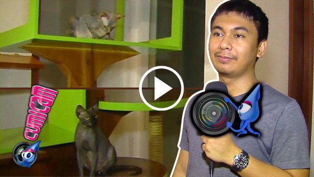 Raditya Dika Sayang Bake dan Bitsy - Cumicam 05 Januari 2017