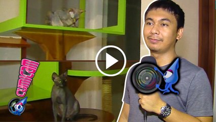 Raditya Dika Sayang Bake dan Bitsy - Cumicam 05 Januari 2017