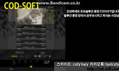 토토솔루션 임대해드려요. 카톡haricuty스카이프cuty hary