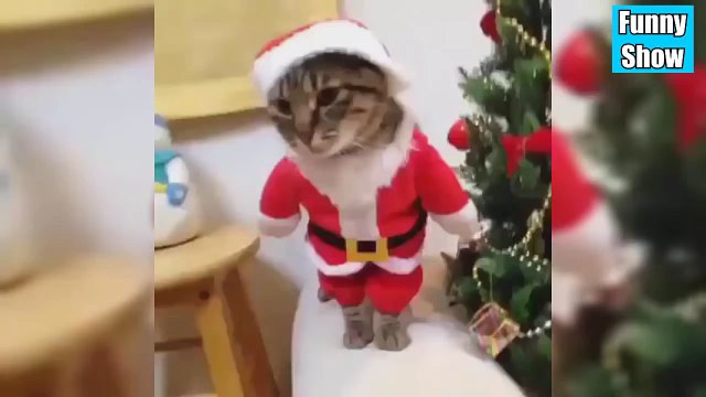 ТЕСТ НА ПСИХИКУ CHALLENGE ЛУЧШИЕ ПРИКОЛЫ 2016 :)