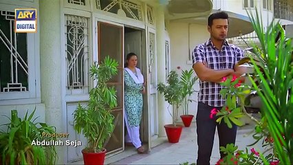 Mein Mehru Hoon Ep 115 - 4th January 2017 - ARY Digital Drama