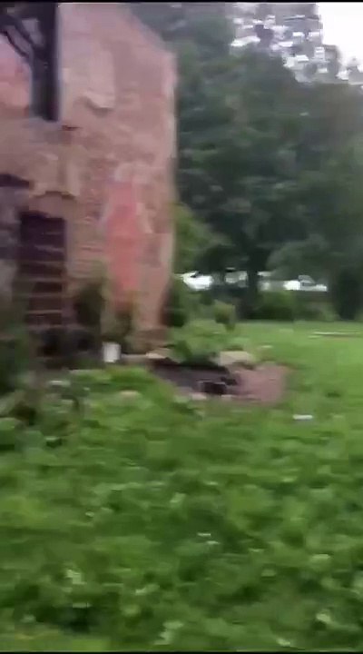 Very Funny - Whatsapp Video