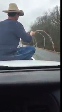 Il attrape une vache au lasso assis sur une voiture de police