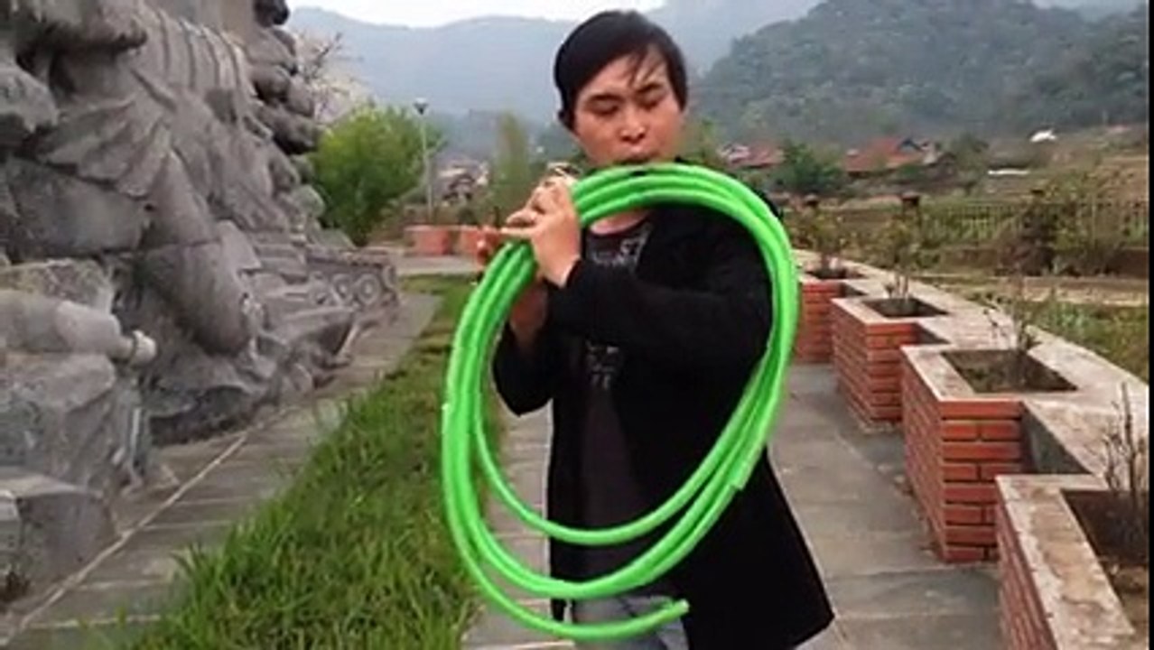 Bèo dạt mây trôi - ver sáo ống nước