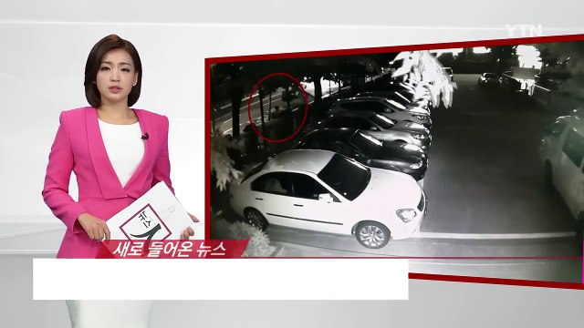 저층 아파트만 노려 금품 훔친 일당 검거 / YTN (Yes! Top News)