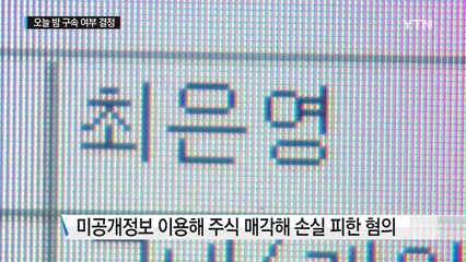 최은영 구속 여부 오늘 결정..."소명하겠다" / YTN (Yes! Top News)