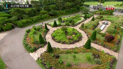 [날씨] 생기 넘치는 수목...내일 다시 한여름 더위 / YTN (Yes! Top News)