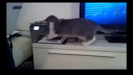 http://www.dailymotion.com/BHGaming 0`1