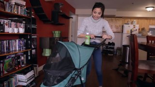 My Cats Review Pet Stroller-bhD3Ct5YFrM