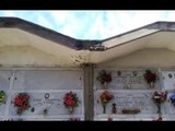 Aversa (CE) - Cimitero, scarsa manutenzione: protestano i titolari dei loculi (04.01.17)
