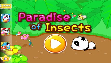 Bugs and Insects for Kids BabyBus educational learning Video | Games for Kids Preschool Kindergarten