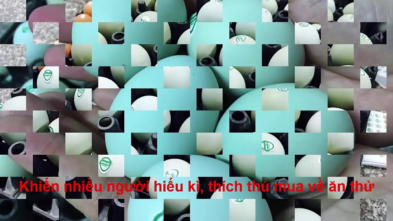 Giật mình với trứng màu xanh siêu lạ, được ví như trứng gà nhân sâm