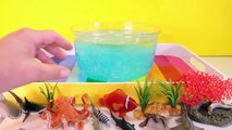 DIY SHARK Toys Slime Aquarium Fish Tank - Toy Sharks, Sea Animals, Toys and Slime