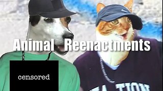 Ultimate Cat Tease Part 2 (Ultimate Dog Tease Parody)-3RwQ01P8Kcg