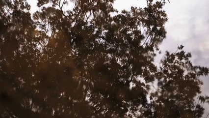 LE JEU DU CHAPEAU - Régis LE NEN - DOC