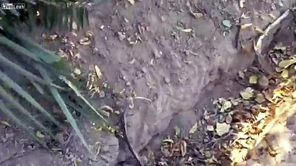 Pakistan from a rock out something. What happens next is crazy
