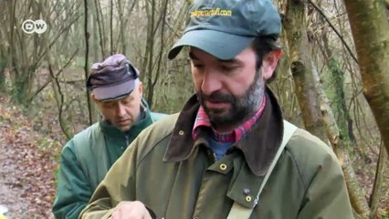 Krieg um weißen Trüffel in Italien | Fokus Europa