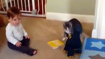 COMEDY VIDEOS _ FUNNU BABIES - A young child plays with a cat-HW9PxJL281Y