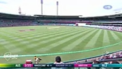 Misbah floors Wahab Riaz with his skill