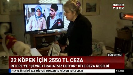 Sokak köpeklerini toplayarak beslemesi nedeniyle ceza kesildi