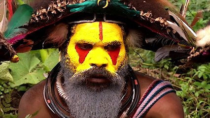 Ambassadors of the Jungle - Now in High Quality! (Part 1/5)