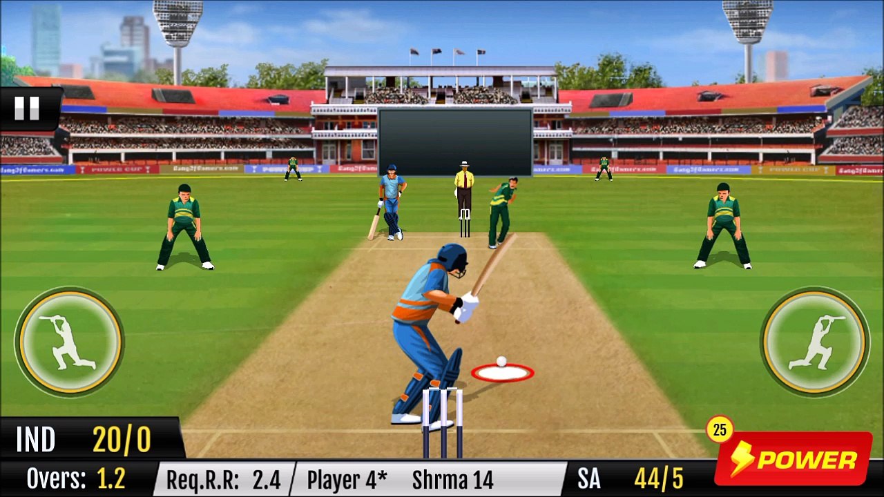 cricket fights