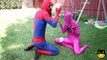 Frozen Elsa Loses Her BIKINI Prank in Pool Spiderman Toys vs Joker Toilet Superhero in real life