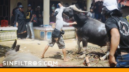 Toraja, donde los vivos conviven con los muertos | Sinfiltros.com