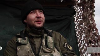 Cats and dogs_ fighters' best friends in east Ukraine