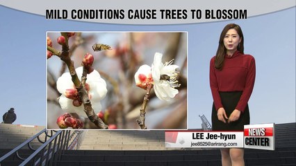 Mild winter weather in place under mostly sunny skies