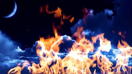 Où naissent nos rêves Chanson Vincent LAMMOUR