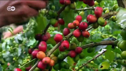 Our health and climate change | Eco-at-Africa