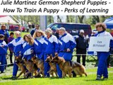 Julie Martinez German Shepherd Puppies - How To Train A Puppy - Perks of Learning