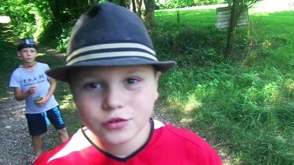 Les araignées_juillet_2016_AL