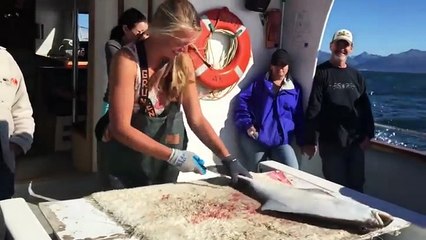 Télécharger la video: Découper un filet de poisson avec cette méthode