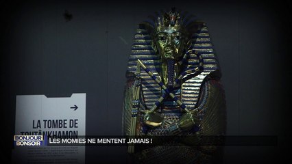 Bonjour bonsoir - Les momies ne mentent jamais - Cap Sciences