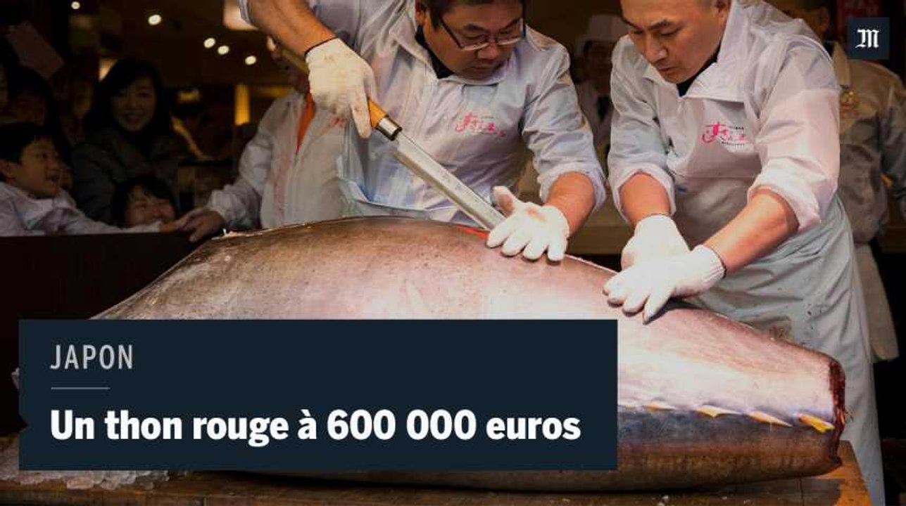 Japon : un thon rouge adjugé 600 000 euros