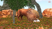 Learn Animals Nursery Rhymes || 3D Animation Nursery Rhymes Collection || Kids Rhymes Collection