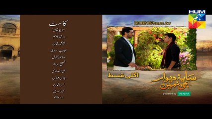 Saya e Dewar Bhi Nahi Episode 22 Promo HD HUM TV Drama 04 January 2017