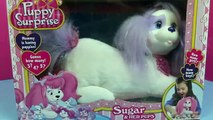 Barbie Magician Makes Puppy Surprise DisneyCarToys Stuffed Dog and Kitty Surprise Toys Magic