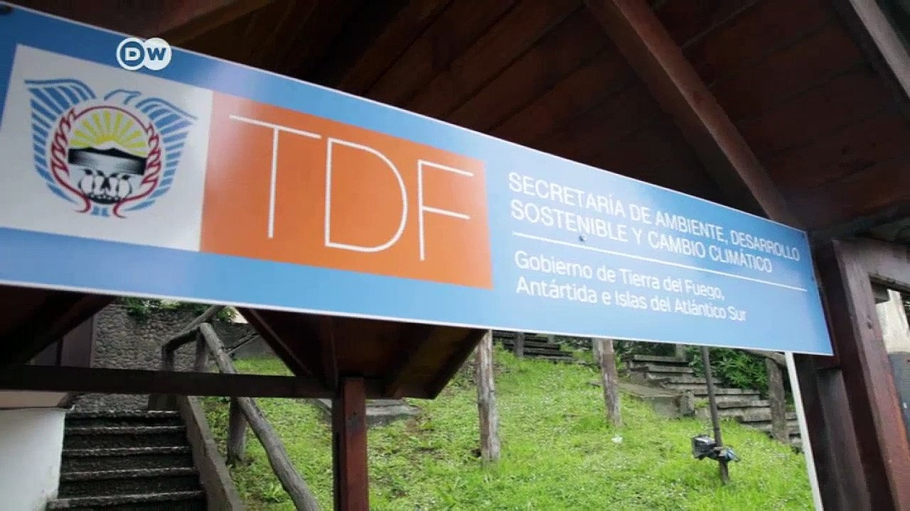 Feuerland: Biberjagd für den Naturschutz | DW Nachrichten