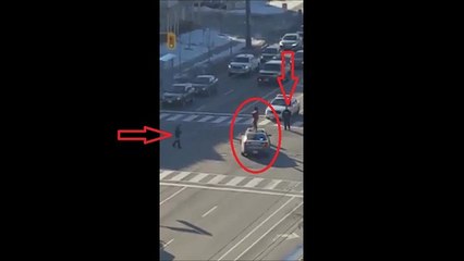 Toronto Police arrest woman smashing police cars