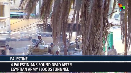 Palestine: Egypt Destroys 12 Cross-Border Tunnels