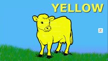 Learn Colors for Children | Teach Colours | Cute Cow Rainbow Colors for Learn Babies Kids Toddlers