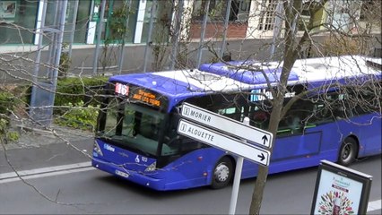 VanHool NewA330 N°123 Fil Bleu