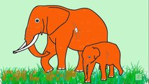 Learn Colors, Colors for Children, Learning Colors With Elephant Cartoon Coloring Pages for Kids