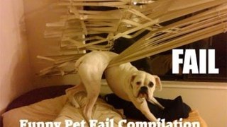 HAPPY PETS - ANIMAL FAILS & WIN COMPILATION