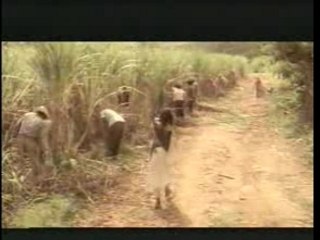 Nathalie Cardone - Hasta Siempre Comandante Che Guevara