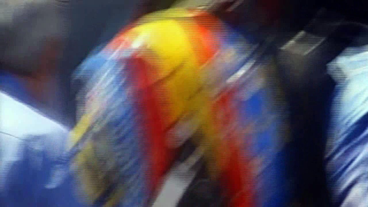 Fragmento HD