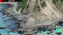 Terremoto na Nova Zelândia deixa vacas presas em ilha minúscula.